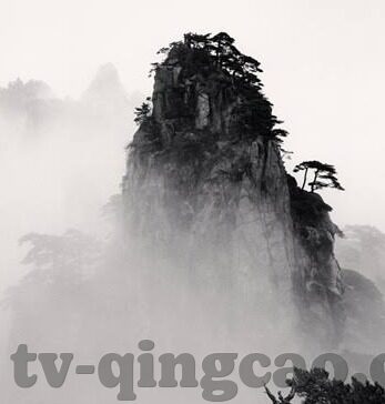 av麻豆免费电影-独特视角下，论网络时代下的多元文化表达与视觉体验