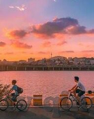 国产av麻豆精选-国产av麻豆的精选之路，品质与创新并进的旅程