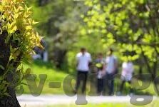 国产精品成人观看视频国产奇米-国产精品，成人视频的多元化与文化探索