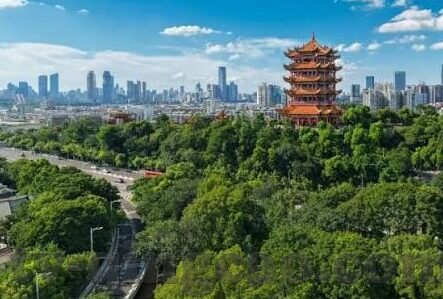 果冻传媒苏妲己是谁-苏妲己，果冻传媒的数字文化符号与网络迷思