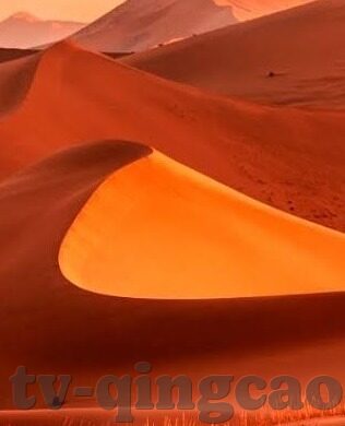 麻豆-传媒App-麻豆传媒App——网络社交娱乐的新风向