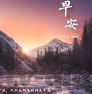 麻豆约拍app正规吗-麻豆约拍app，探寻正规与安全的摄影平台