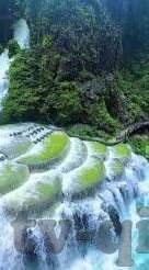 免费一区二区-免费一区二区，数字时代的资源共享新风尚
