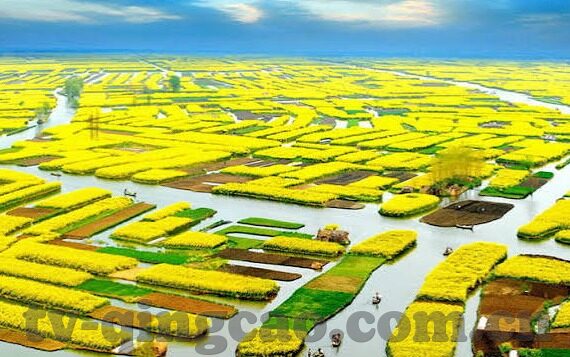 全网果冻传媒资源-探索全网果冻传媒资源的多元魅力