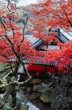 人妻教师是人妖-角色与身份的错位，人妻教师的另一面